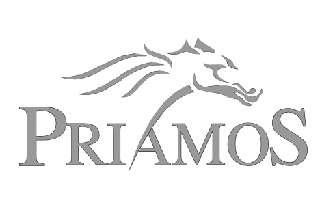 Priamos Immobilien